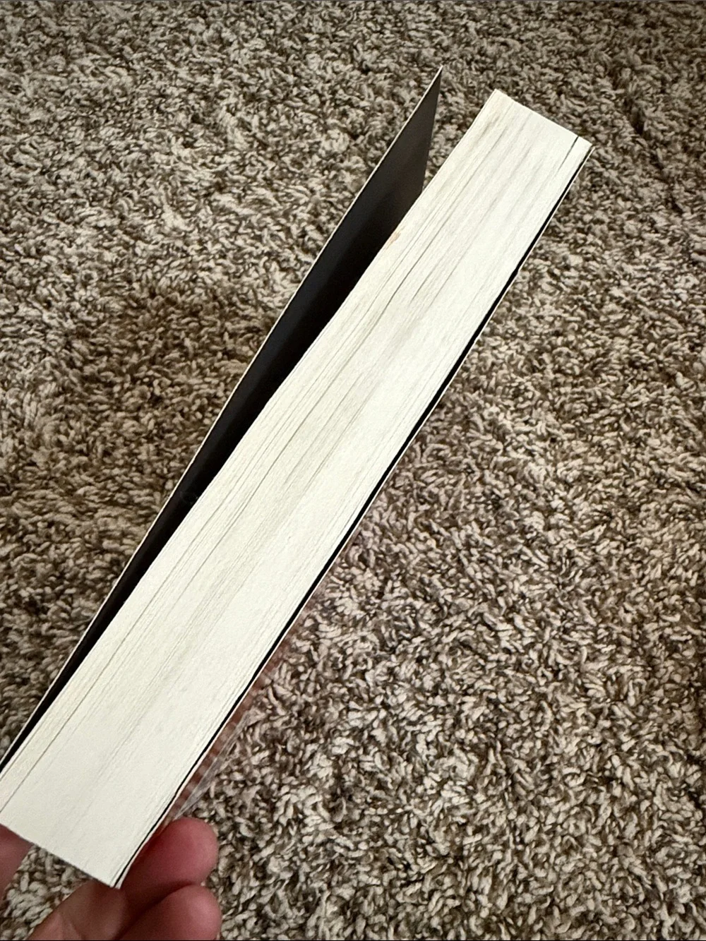 The 48 Laws of Power by Robert Greene - Red & Blue Paperback